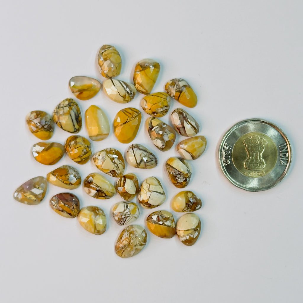 Collection of yellow and brown marbled stones with a coin for scale on a white background