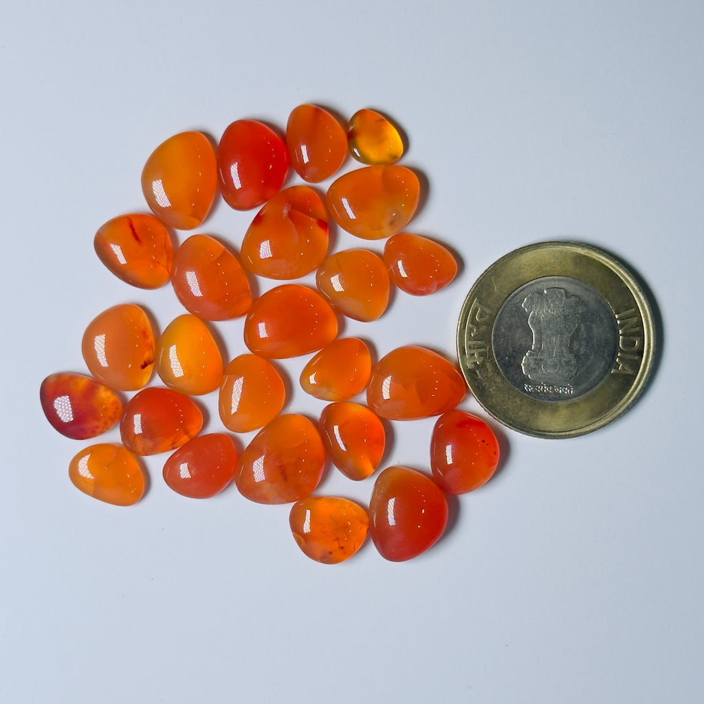 Orange stones arranged in a circle with a coin for scale on a White background