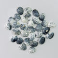 Collection of spotted stones on a light gray background