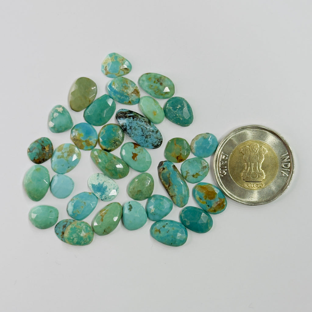 Turquoise stones with a coin for size comparison on a white background