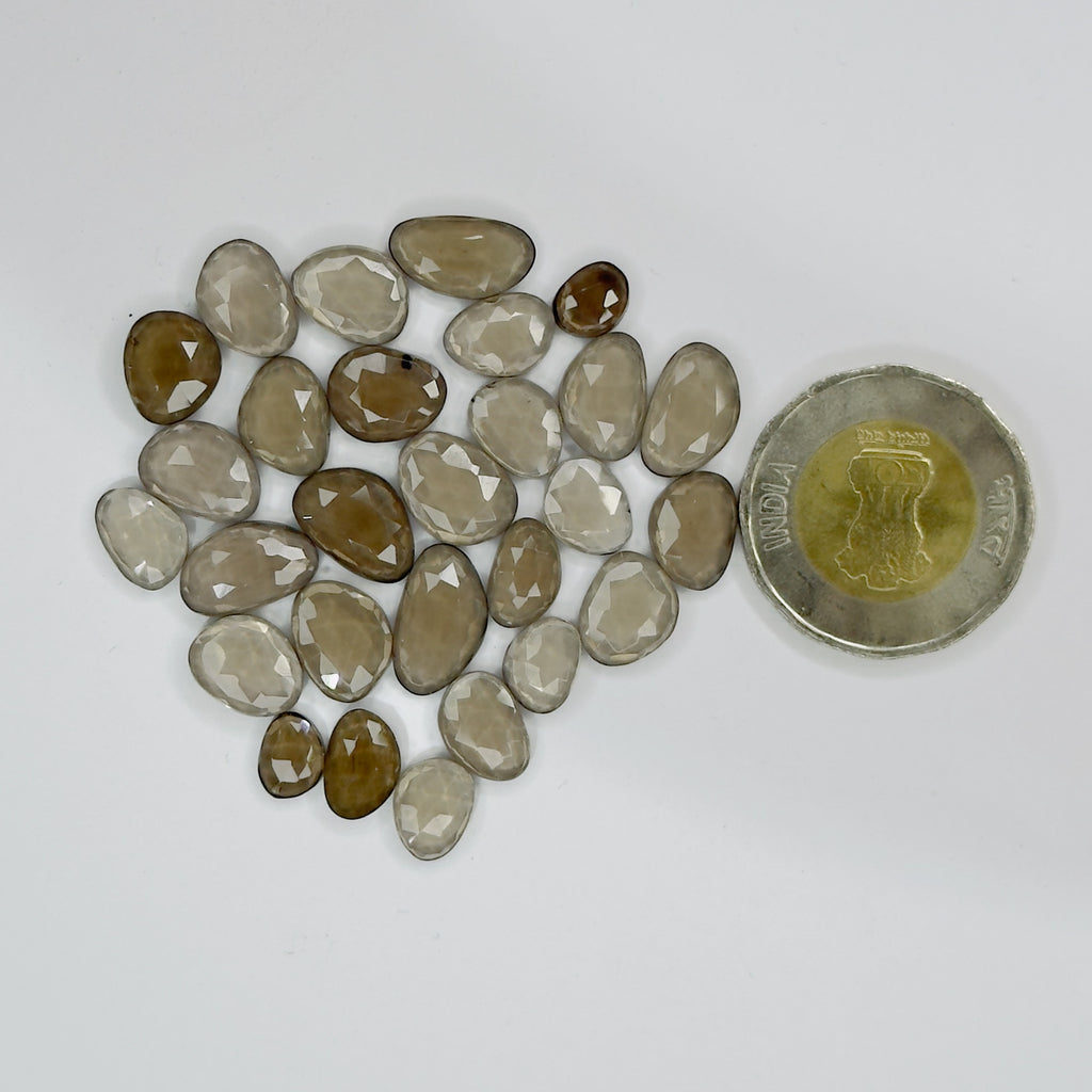 Collection of brown and gray stones with a coin for scale on a white background